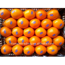 nombril orange